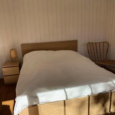 Villa 03280-lacanau - Proche Du Magnifique Avec Piscine Privee Pour 7 Personnes Mae-0491 *