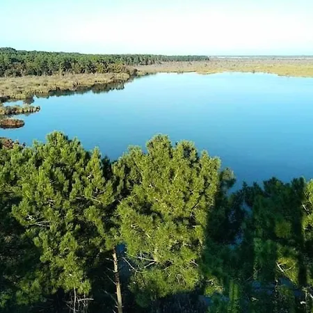 03280-lacanau - Proche Du Magnifique Avec Piscine Privee Pour 7 Personnes Mae-0491 Villa *